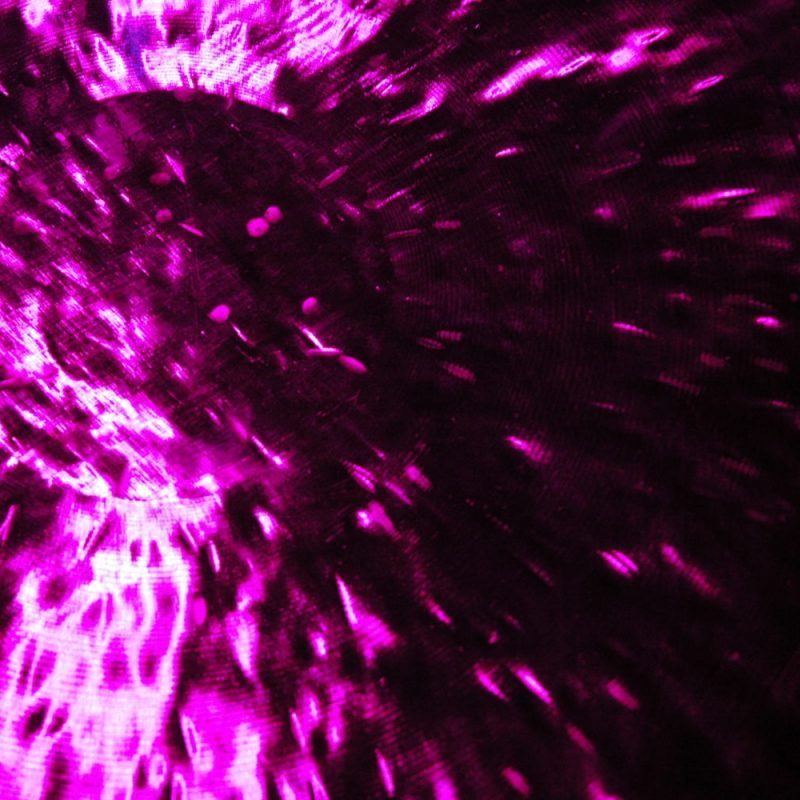 photo de gong jeu de lumière violet